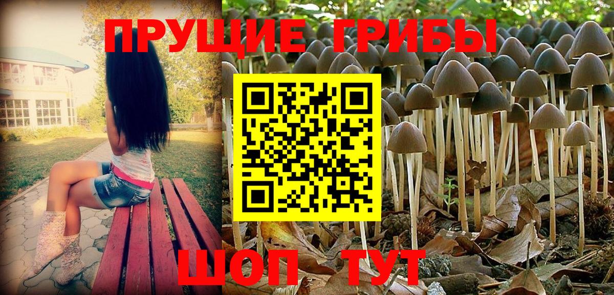 Галлюциногенные грибы мицелий  Галлюциногенные грибы Cubensis  что такое   Нарткала  Вход с VPN 