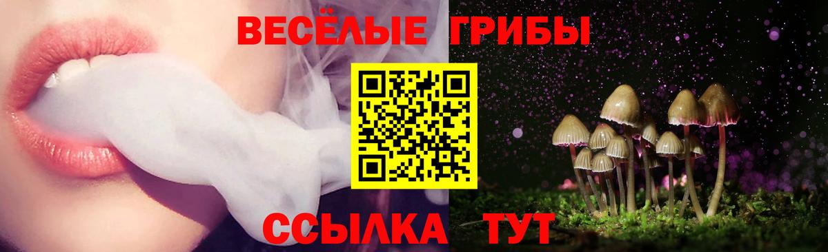 Галлюциногенные грибы MAGIC MUSHROOMS Нарткала